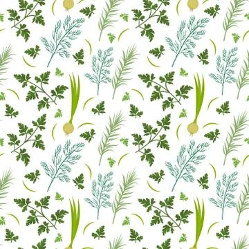 Herbs seamless pattern. Parsley, dill, razmarin endless background, texture.. Illustrazione stock