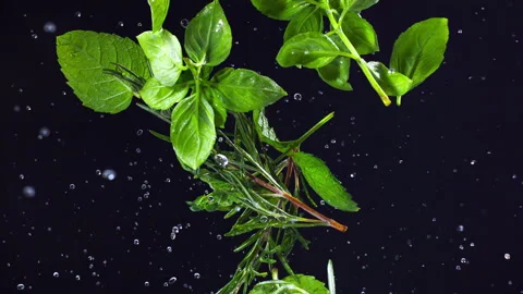 Herbs spice explodes closeup in super slow motion 1000fps Stock Footage 257061265