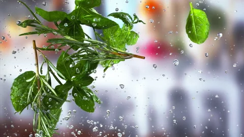 Herbs spice explodes closeup in super slow motion 1000fps Stock Footage 257061418