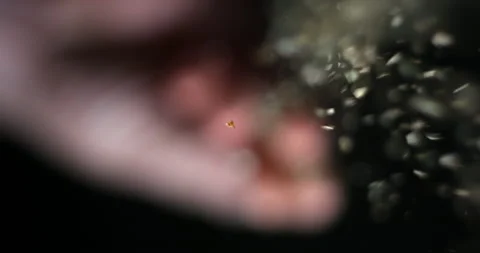 Herbs spices pouring from below slow motion Stock Footage 137925018