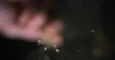 Herbs spices pouring from below slow motion Video stock 137925095