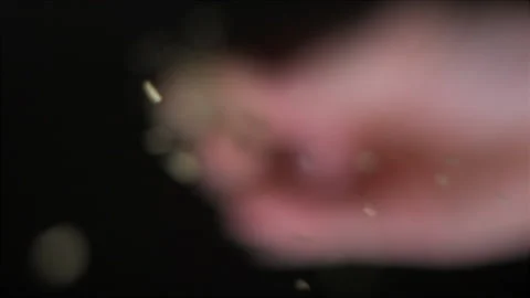Herbs spices pouring from below slow motion Stock Footage 138063209