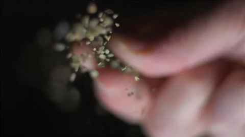 Herbs spices pouring from below slow motion Stock-Footage 138063324