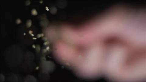 Herbs spices pouring from below slow motion Video stock 138063385