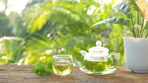 Herbs tea, coriander, Lemon balm, Rice Paddy Herb in a glass teapot Stock Footage 297854854