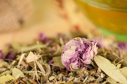 Herbs for tea Stock Photos