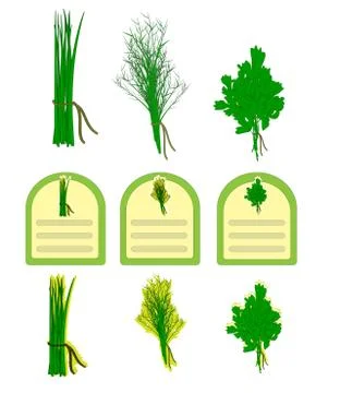 Herbs vector Stock Illustration