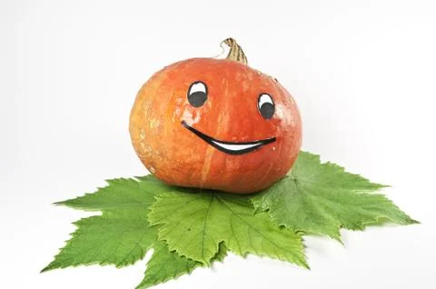 Herbstdekoration Stock Photos