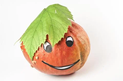 Herbstdekoration Stock Photos