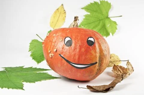 Herbstdekoration Stock Photos