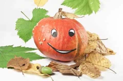 Herbstdekoration Stock Photos