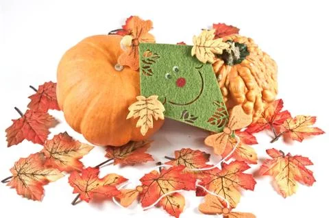Herbstdekoration Stock Photos