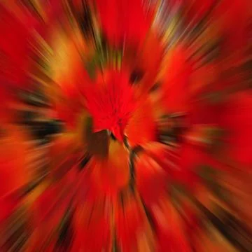 Herbstexplosion Stock Photos