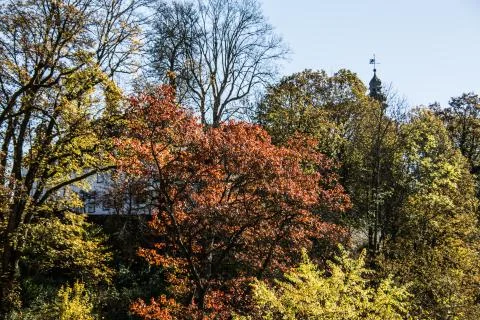 Herbstimpressionen Stock Photos