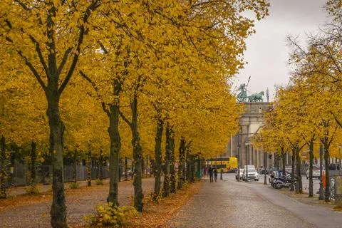  Herbstlich gefärbte Bäume an der Ebertstraße in Berlin-Mitte. Im Hintergr Stock Photos