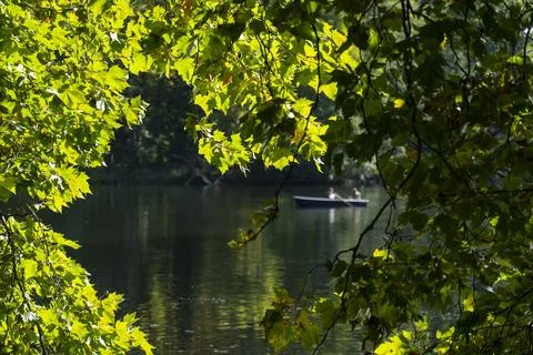 Herbstlich gefärbte Blätter an einem kleinen See im Großen Tiergarten In B Stock Photos