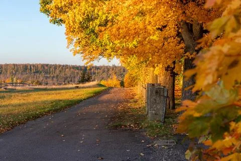 Herbstliche Landschaft mit bunter Laubfärbung herbstliche Landschaft mit b.. Stock Photos
