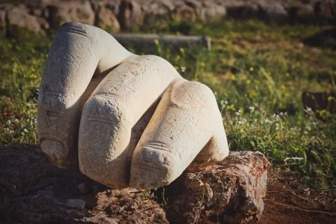 Hercules Hand Stock Photos