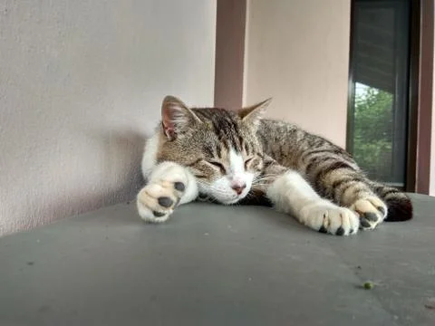 Hercules taking a nap Foto stock