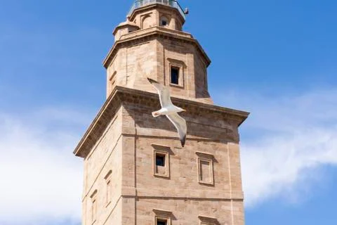 Hercules tower Stock Photos
