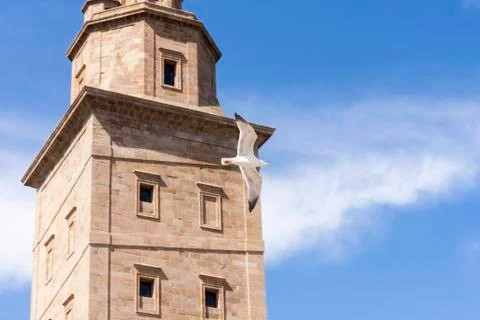 Hercules tower Stock Photos