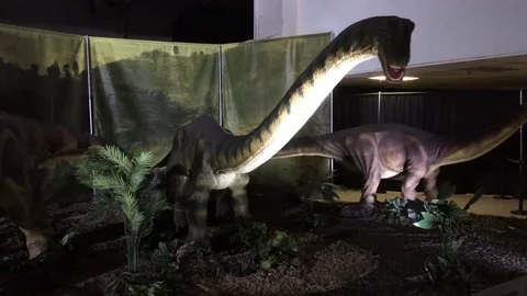 Herd of Brontosarus puppets Stock Footage 74478284
