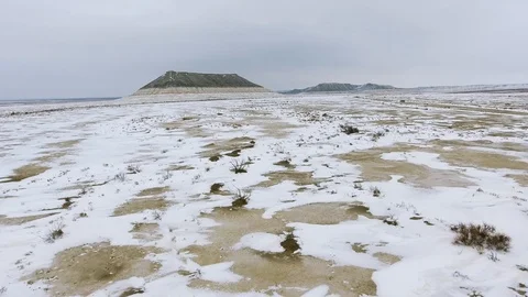 Herd of camels moving through the snow-covered desert in winter. Western Stock Footage 93745985