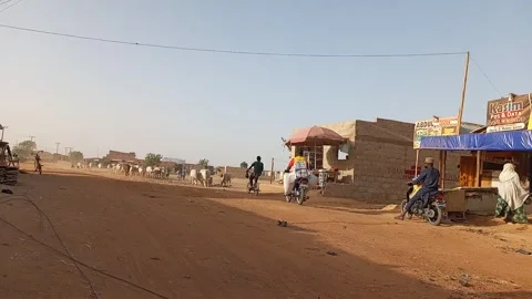 Herd Cattle Sheep Approaching Passing Road Ungogo Kano Nigeria Видео 329678640
