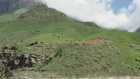Herd of cows goes up in the mountains Stock Footage 130890516