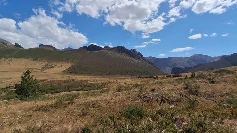 Herd of Cows Grazing on a Mountain Pass in the Picos de Europa, Spain 스톡 동영상 343255498