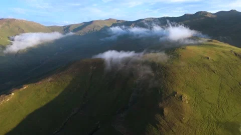 Herd Of Cows On A Misty Slope Stock Footage 213255337