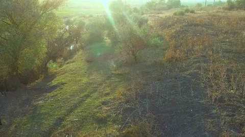 A Herd of Cows on Pasture Stock-Footage 56639185