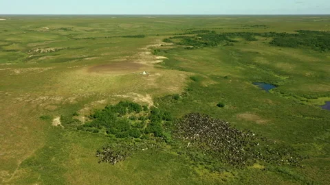 Herd of deer. Aerial view. Animals graz. Yurt on hill. Tipi, wigwam. Green Stock Footage 194514014