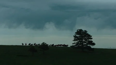 Herd of deer run across the field under cloudy sky in early morning Stock Footage 327871487