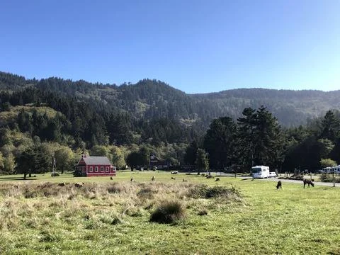 Herd of Elk Grazing In Front Of Pine Forest And Hills With Red Shed  Stock Photos