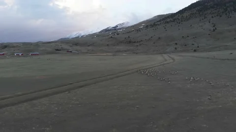 Herd of elk running over ditch Stock-Footage 166435726