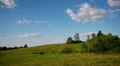 Herd of farm domestic animals grazing on green field HD Footage