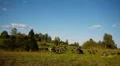 Herd of farm domestic animals grazing on green field HD Footage