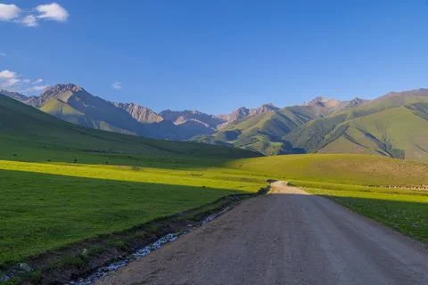 Herd of free-range grass-fed horses grazing near dirt road in serene mountainous 库存照片