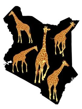 Herd of giraffe over Kenya map vector silhouette illustration 스톡 일러스트