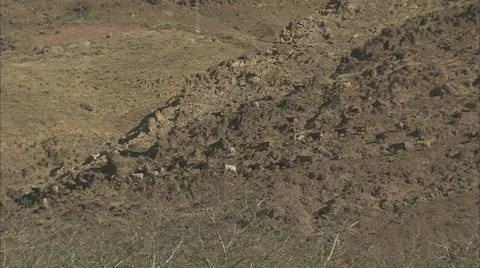 A herd of goats walking down a mountain in a developing country. Stock Footage 38608450