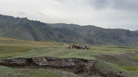 Herd of horses galloping across an alpine meadow, Kel-Suu, Kyrgyzstan Video stock 347243374