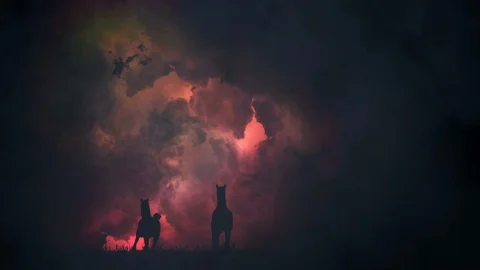 Herd of Horses Running to Camera Under a Lightning Storm Stock Footage 106157334