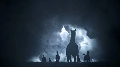 Herd of Horses Running to Camera Under an Epic Lightning Storm Stock Footage 106157493