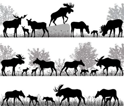 Herd of moose Illustrazione stock