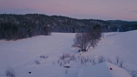Herd Of Moose Walking On Snow-covered Field At Sunset. aerial shot Stock Footage 303819111