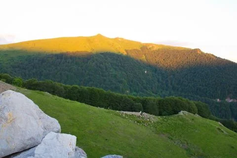 Herd on mountain slope Stock Photos