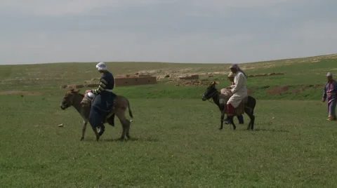 Herd Moving to Water Stock Footage 46057196