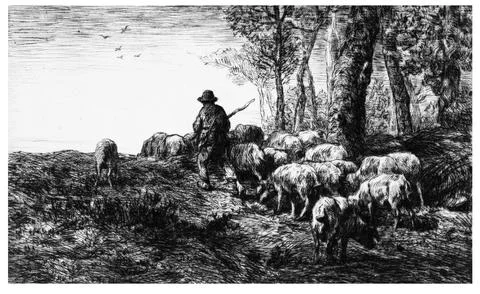 Herd of Pigs with Swineherd. Stock Illustration