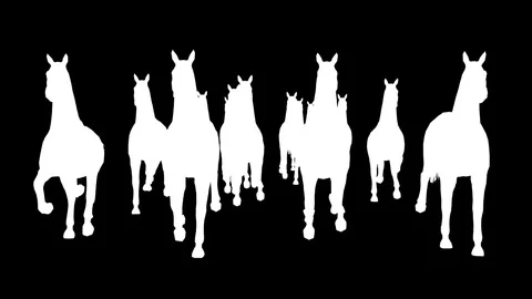 A herd of running white horses. Alpha channel. Alpha matte. 4K. Stock Footage 73483551